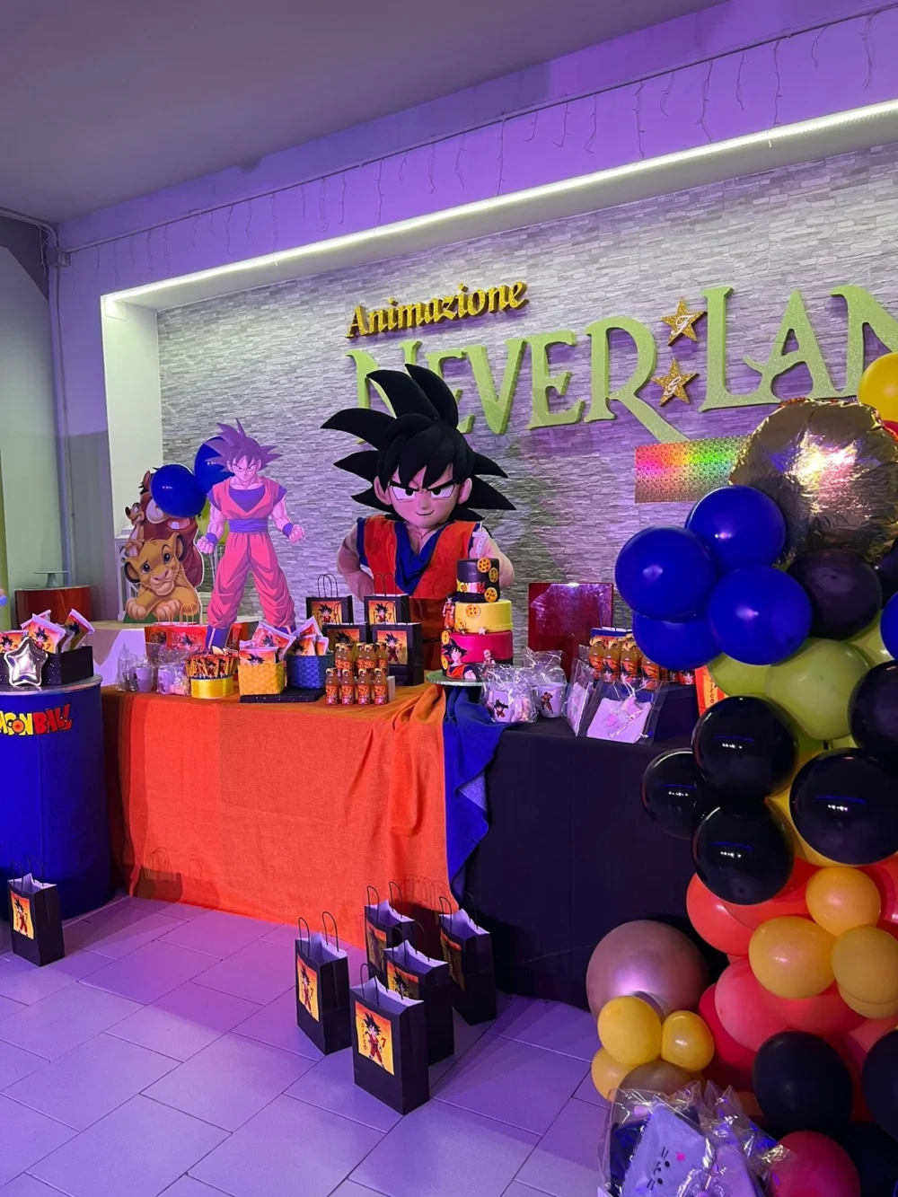 Neverland Animazione Neverland